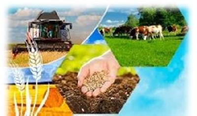 Кооперация в сельском хозяйстве. Сельскохозяйственный кооператив. Инвестиционные проекты в сфере сельского хозяйства. Поддержки фермеров и развитие сельской кооперации.